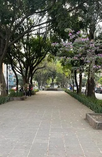 Vive Roma Cdmx Apartamento